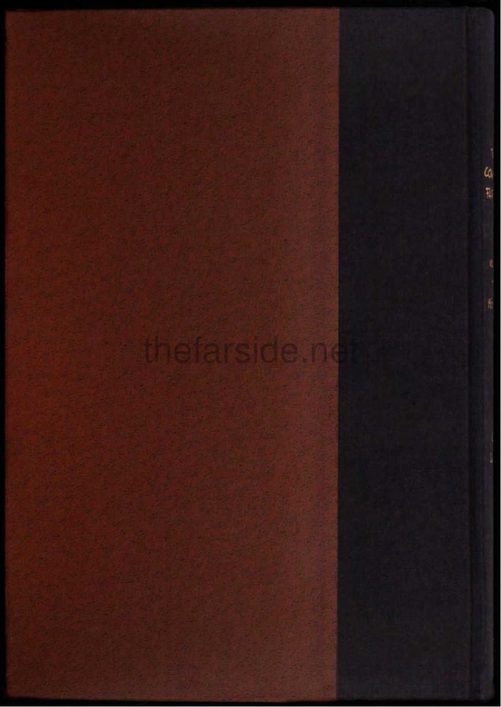 thefarsite.net - 21d04b0