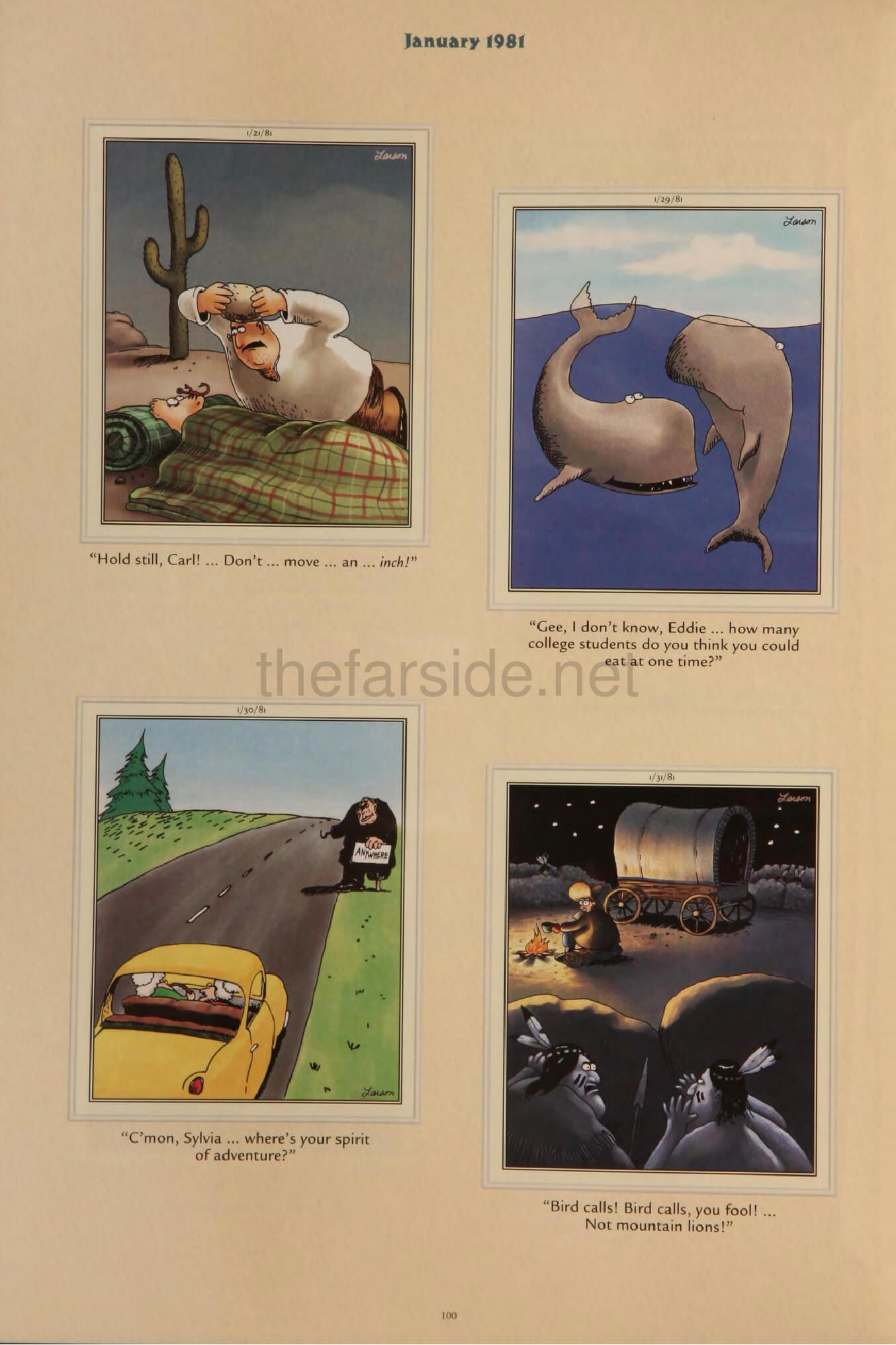 thefarsite.net - 2f5cd394