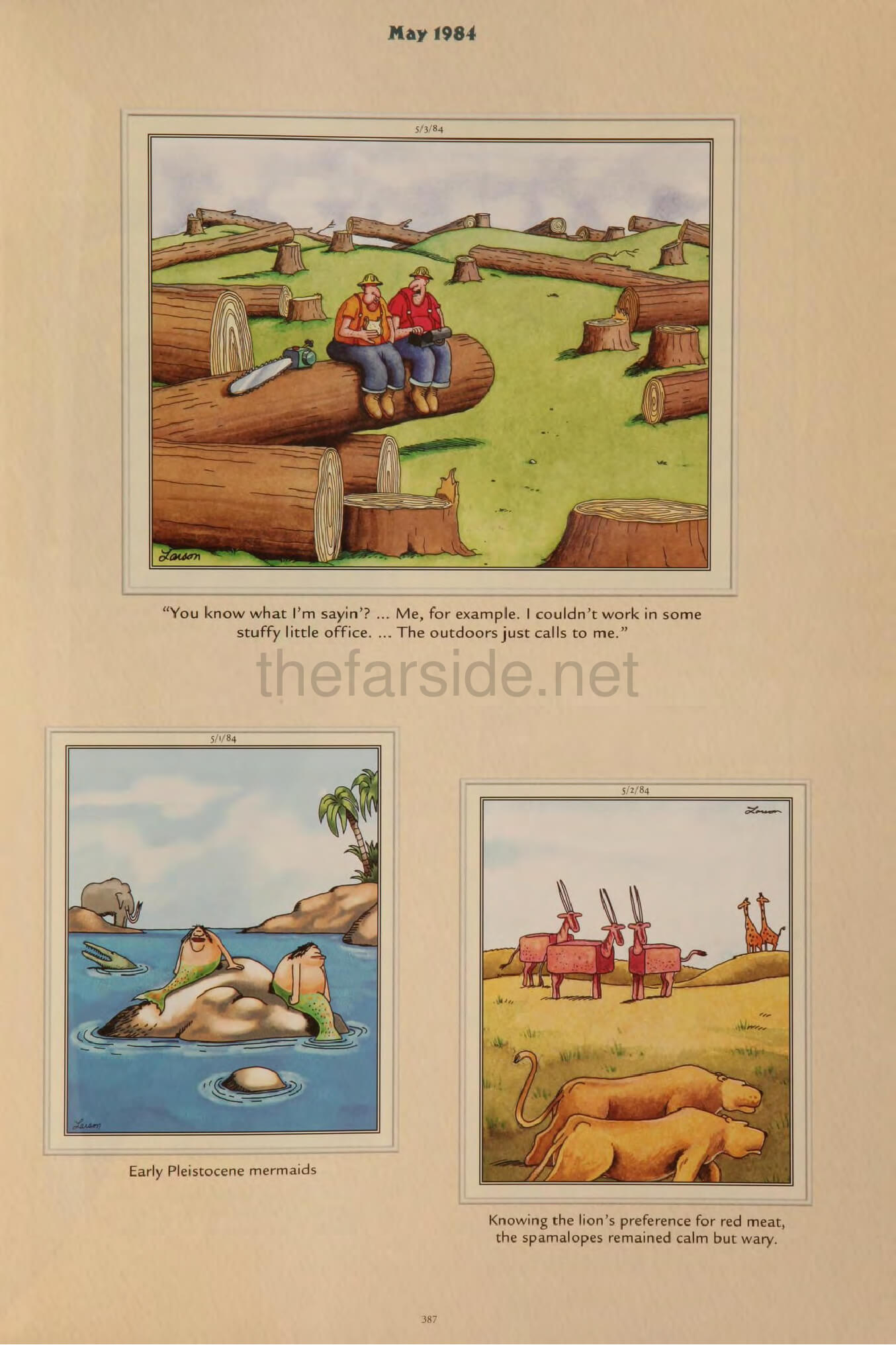 thefarsite.net - 1de91995