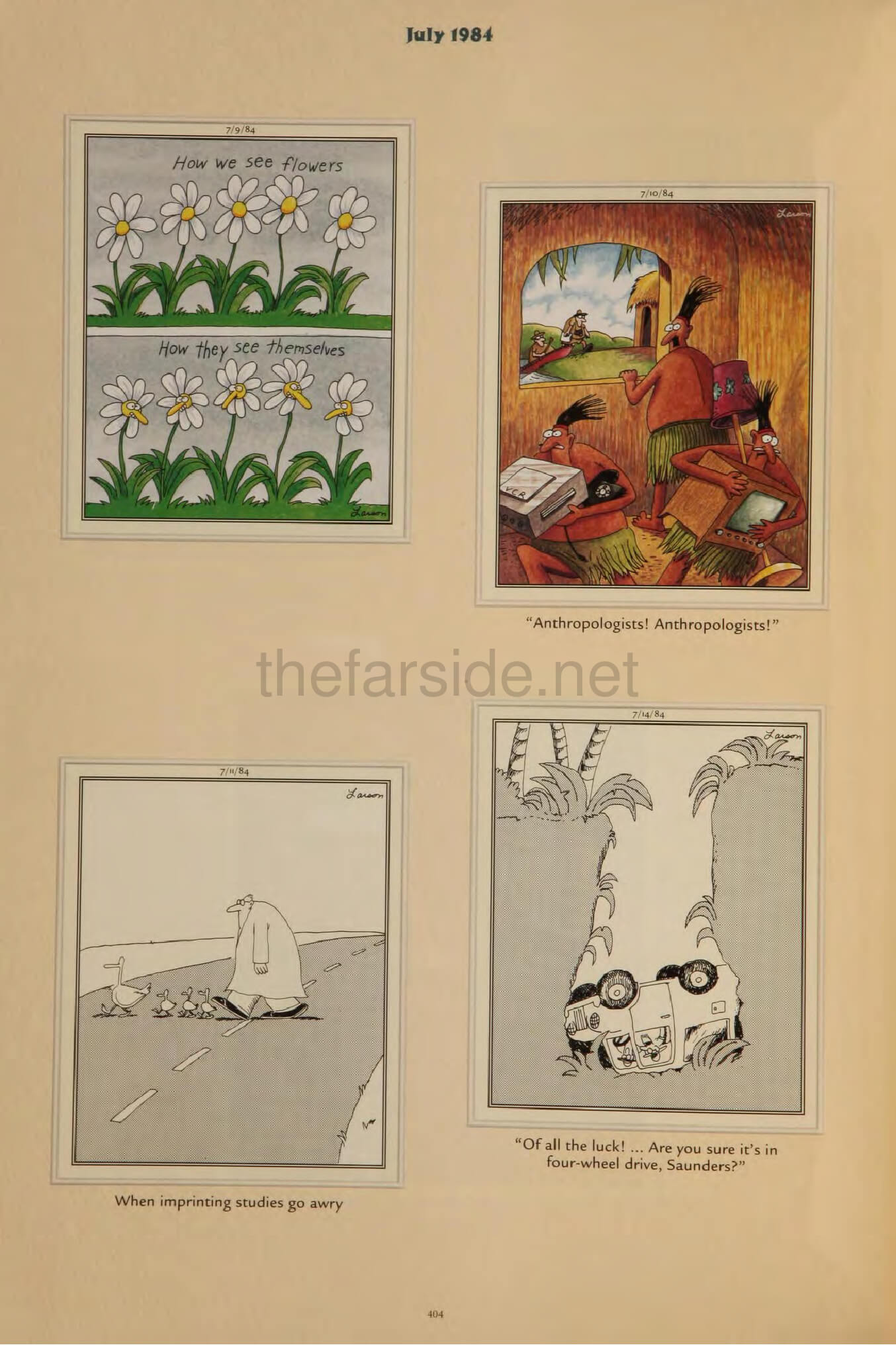 thefarsite.net - 5c99fbfd