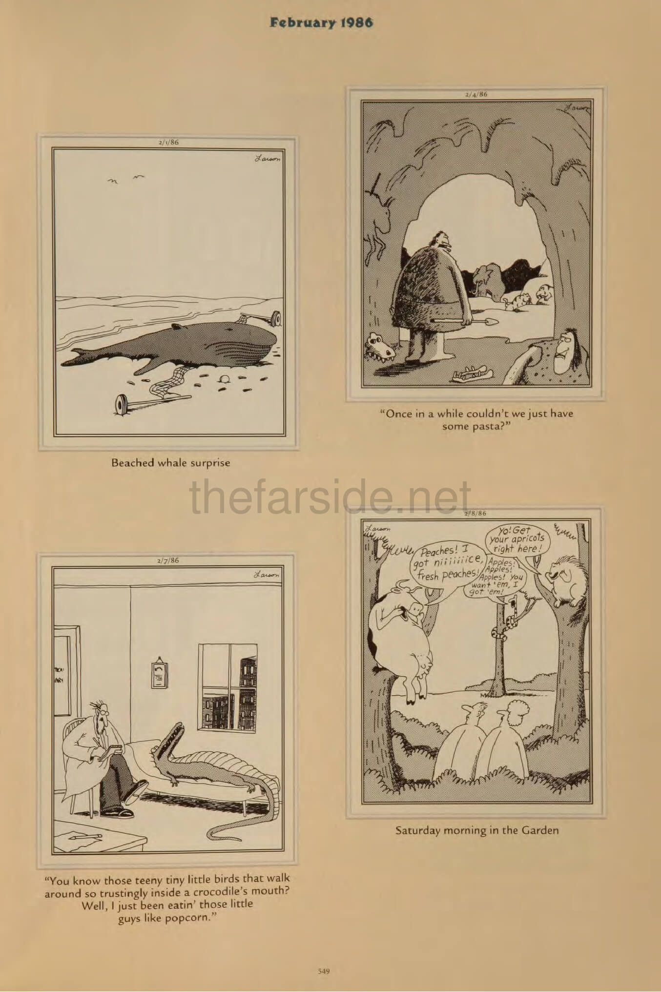 thefarsite.net - f787674