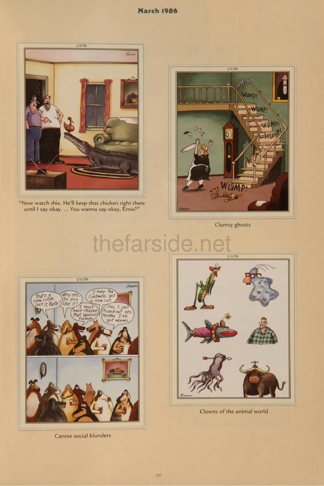 thefarsite.net - 5cdee03d