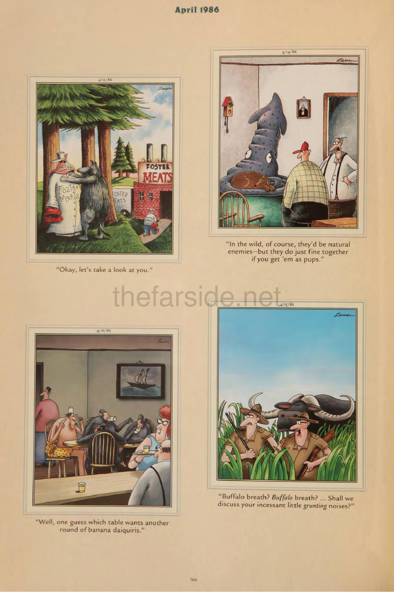 thefarsite.net - a856a09f