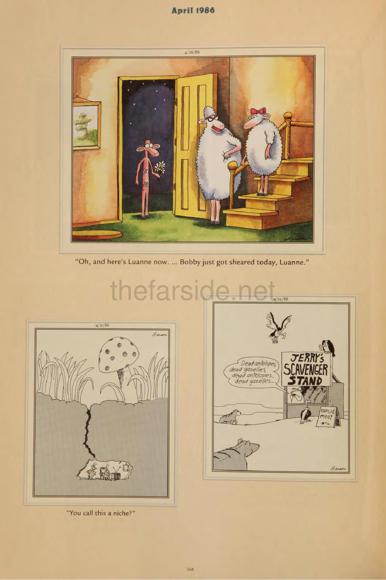 thefarsite.net - c1df635d