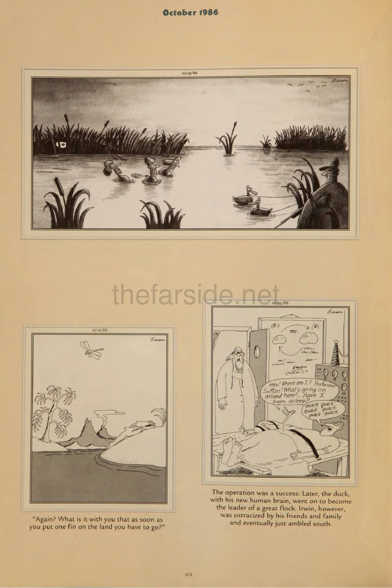 thefarsite.net - c6392539