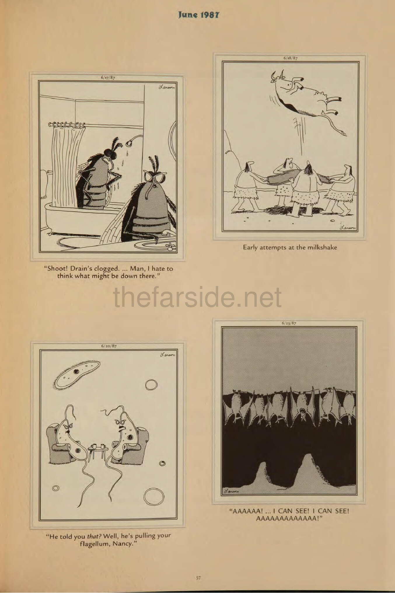 thefarsite.net - 32a27f31
