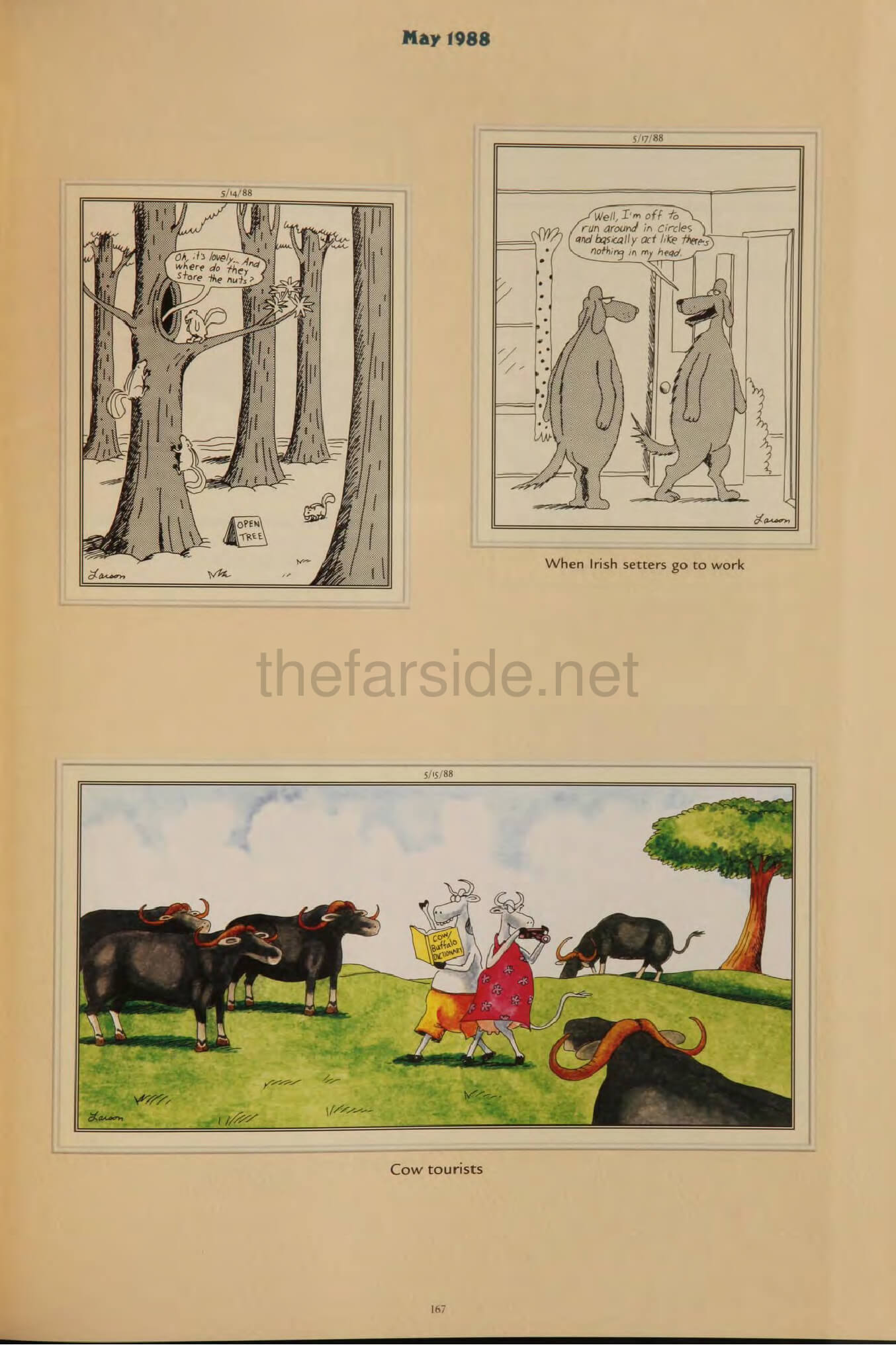 thefarsite.net - 4ed2d611