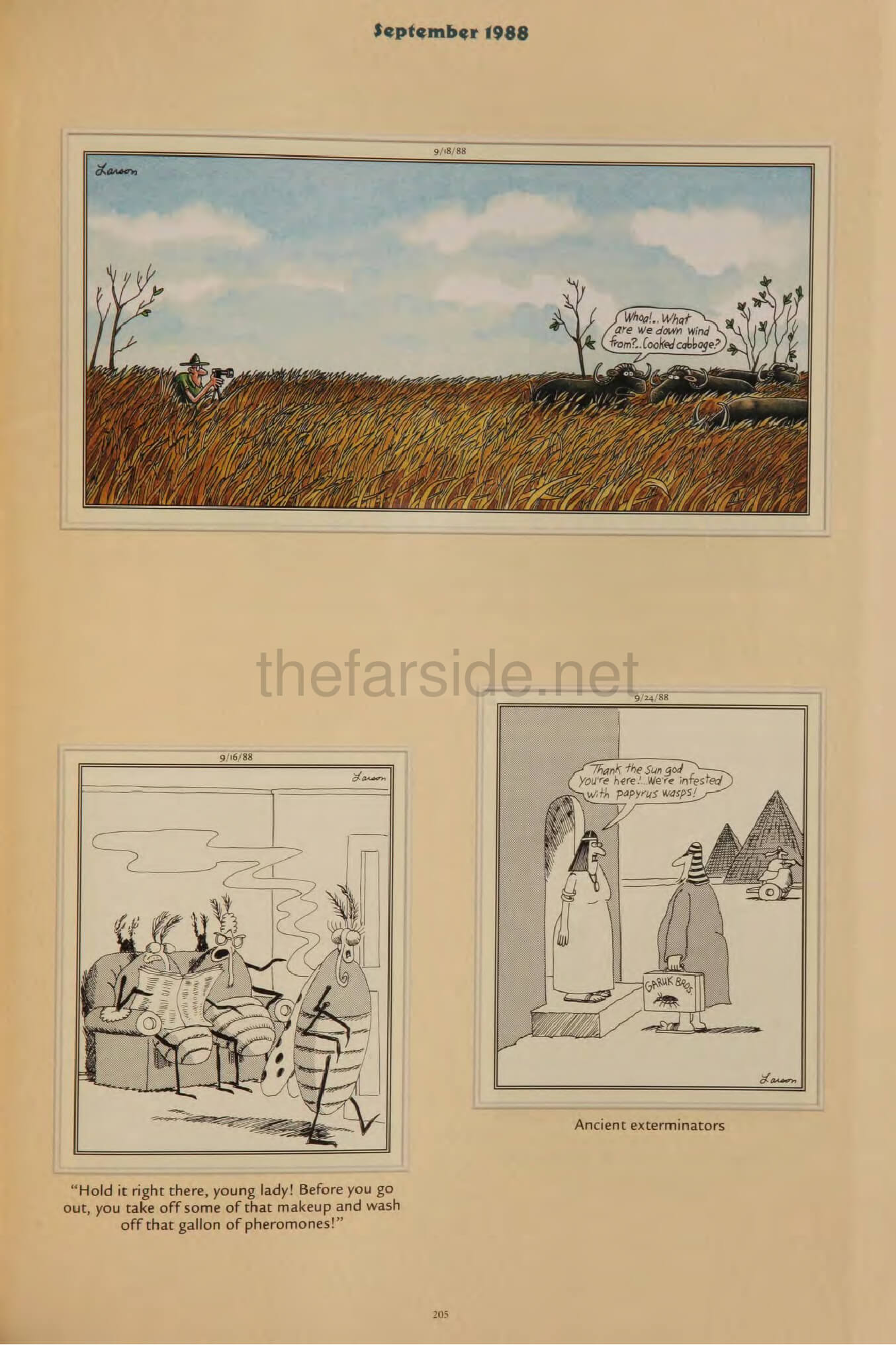 thefarsite.net - 2d6937b6