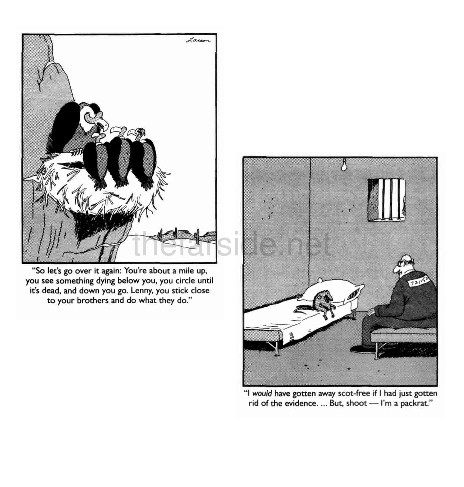 thefarsite.net - 8dcaeea5