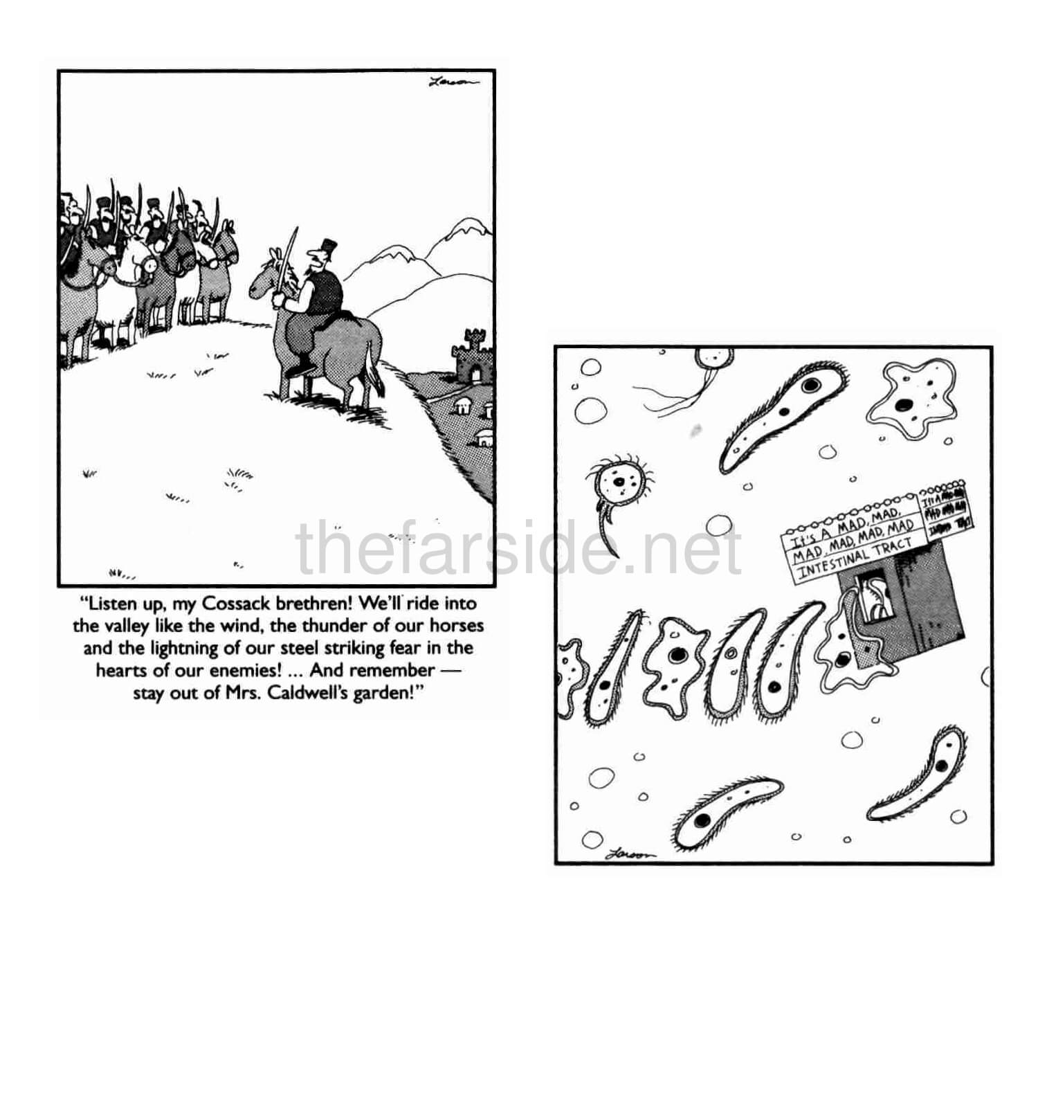 thefarsite.net - 5752e7c9